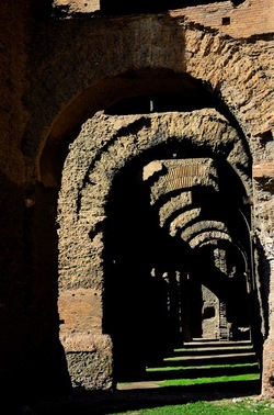 PARCO ARCHEOLOGICO DEL PALATINO Roma. Fotografie di Giulio Azzarello ©2020.