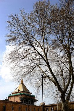 VILLA BONANNO a Palermo. Fotografie di Giulio Azzarello &copy;2016.