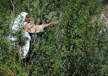 PALESTINA i territori palestinesi panoramiche e particolari. Foto di Giulio Azzarello ©2014. PALESTINA i territori palestinesi panoramiche e particolari. Foto di Giulio Azzarello ©2014.