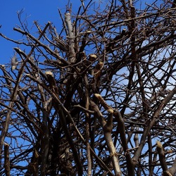 PIANTE. Fotografie di Giulio Azzarello ©2022. PIANTE. Fotografie di Giulio Azzarello ©2022.