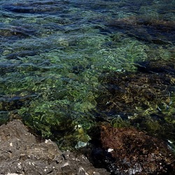 BAIA DEL CORALLO. Fotografie di Giulio Azzarello &copy;2022.