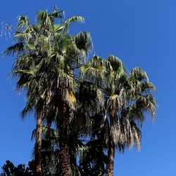 GIARDINO. Fotografie di Giulio Azzarello ©2022.