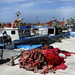 SELINUNTE. Fotografie di Giulio Azzarello &copy;2022.