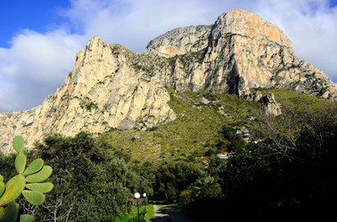 MACCHIA MEDITERRANEA in Sicilia. Fotografie di Giulio Azzarello &copy;2106.