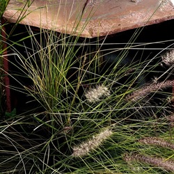 ZISA. Fotografie di Giulio Azzarello &copy;2023.