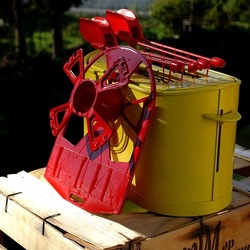 TOAST. Fotografie di Giulio Azzarello &copy;2025.