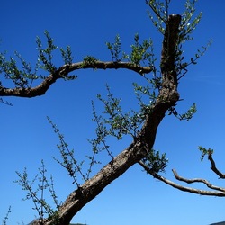 SEGESTA. Fotografie di Giulio Azzarello ©2024. SEGESTA. Fotografie di Giulio Azzarello ©2024.