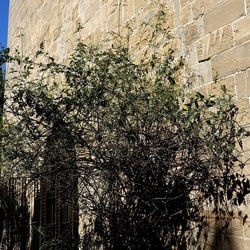 Arabo Normanno. Fotografie di Giulio Azzarello ©2024. Arabo Normanno. Fotografie di Giulio Azzarello ©2024.