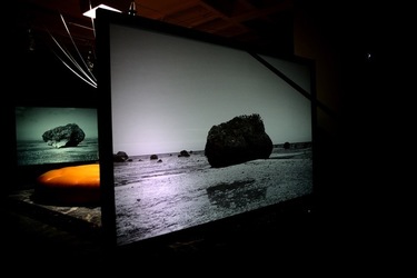 BIENNALE di VENEZIA Arte Contemporanea Giardini. Fotografie di Giulio Azzarello &copy;2020.