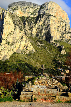 MACCHIA MEDITERRANEA in Sicilia. Fotografie di Giulio Azzarello &copy;2106.