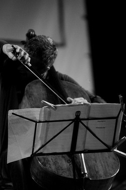 GIOVANNI SOLLIMA in concerto. Fotografie di Giulio Azzarello &copy;2014.