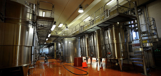 ACCIAI per il vino. Fotografie di Giulio Azzarello ©2016.