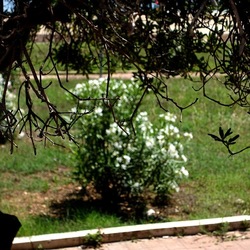 SAN VITO LO CAPO. Fotografie di Giulio Azzarello &copy;2023.
