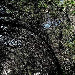 Arabo Normanno. Fotografie di Giulio Azzarello ©2024. Arabo Normanno. Fotografie di Giulio Azzarello ©2024.