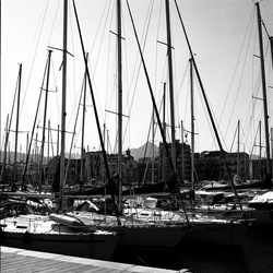 VELA fotografie di Giulio Azzarello ©2021. VELA fotografie di Giulio Azzarello ©2021.