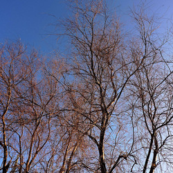 MONDELLO di inverno. Fotografie di Giulio Azzarello &copy;2016.
