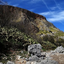 RISERVA NATURALE. Fotografie di Giulio Azzarello &copy;2022.
