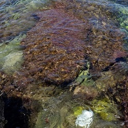 BAIA DEL CORALLO. Fotografie di Giulio Azzarello &copy;2022.
