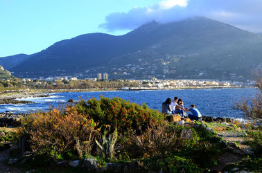 MACCHIA MEDITERRANEA in Sicilia. Fotografie di Giulio Azzarello &copy;2106.