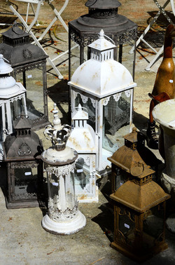 ORTO BOTANICO di Palermo in inverno. Fotografie di Giulio Azzarello &copy;2016.