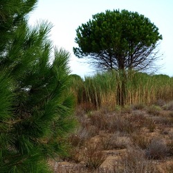 SELINUNTE. Fotografie di Giulio Azzarello ©2022. SELINUNTE. Fotografie di Giulio Azzarello ©2022.