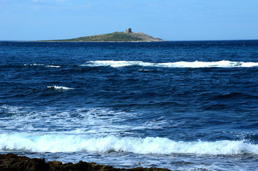 CAPO GALLO riserva marina e naturalistica a Palermo panoramiche e particolari. Fotografie di Giulio Azzarello ©2014. CAPO GALLO riserva marina e naturalistica a Palermo panoramiche e particolari. Fotografie di Giulio Azzarello ©2014.