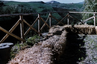DIGITALIZZAZIONI fotografie di Giulio Azzarello &copy;2020.