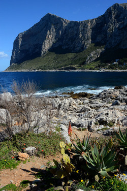 CAPO GALLO riserva marina e naturalistica a Palermo panoramiche e particolari. Fotografie di Giulio Azzarello ©2014. CAPO GALLO riserva marina e naturalistica a Palermo panoramiche e particolari. Fotografie di Giulio Azzarello ©2014.