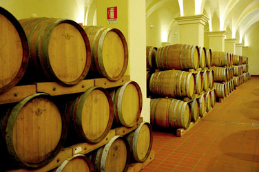 BOTTI per il vino. Fotografie di Giulio Azzarello ©2016. BOTTI per il vino. Fotografie di Giulio Azzarello ©2016.