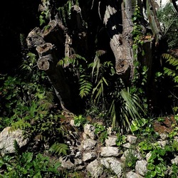 GIARDINO. Fotografie di Giulio Azzarello ©2022.