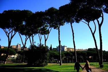 PARCO ARCHEOLOGICO DEL PALATINO Roma. Fotografie di Giulio Azzarello ©2020.