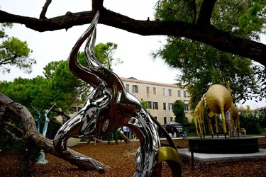 BIENNALE ARTI CONTEMPORANEE DI VENEZIA fotografie di Giulio Azzarello ©2020.