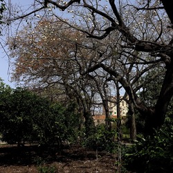 ORTO BOTANICO. Fotografie di Giulio Azzarello &copy;2024.