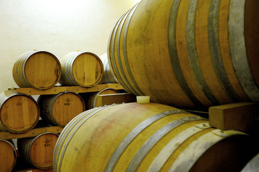 BOTTI per il vino. Fotografie di Giulio Azzarello ©2016. BOTTI per il vino. Fotografie di Giulio Azzarello ©2016.