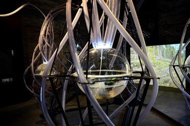 VENEZIA PADIGLIONE ITALIANO. Biennale Arch. Cont. Arsenale. Fotografie di Giulio Azzarello &copy;2022.