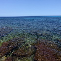 BAIA DEL CORALLO. Fotografie di Giulio Azzarello &copy;2022.