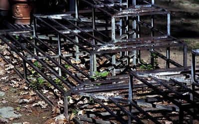 ORTO BOTANICO di Palermo. Fotografie di Giulio Azzarello ©2021.