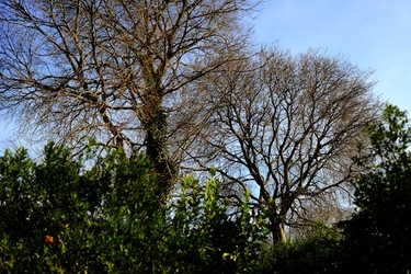 CAMPAGNA fotografie di Giulio Azzarello ©2020.