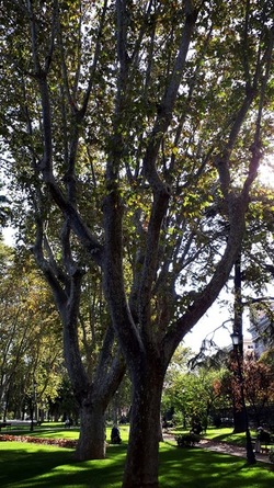 ROMA fotografie di Giulio Azzarello &copy;2022.