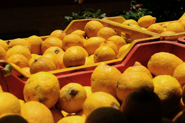 PAESAGGIO SICILIANO in provincia di Enna. Fotografie di Giulio Azzarello &copy;2014.