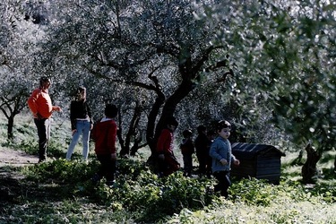 DIGITALIZZAZIONI fotografie di Giulio Azzarello &copy;2020.