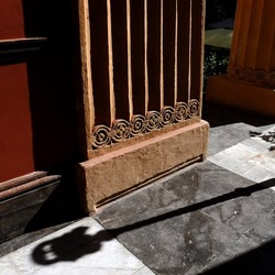 ORTO BOTANICO di PALERMO. Fotografie di Giulio Azzarello ©2019.