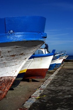 FEBBRAIO Fotografie di Giulio Azzarello &copy;2022.