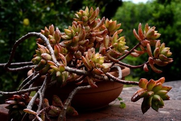 ZAGARA. Fotografie di Giulio Azzarello ©2022. ZAGARA. Fotografie di Giulio Azzarello ©2022.