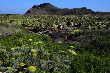 ISOLA DI LINOSA panoramiche e particolari. Fotografie di Giulio Azzarello &copy;2014.