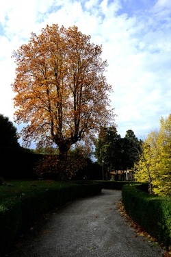 FIRENZE PALAZZO PITTI e GIARDINO DI BOBOLI. Fotografie di Giulio Azzarello &copy;2022.