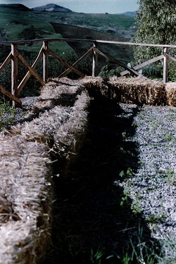DIGITALIZZAZIONI fotografie di Giulio Azzarello &copy;2020.