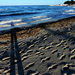 MONDELLO di inverno. Fotografie di Giulio Azzarello &copy;2016.