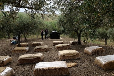 ULIVETO SICILIANO. Fotografie di Giulio Azzarello ©2022.