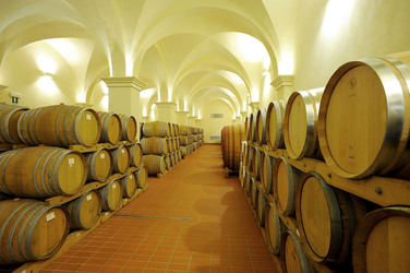 BOTTI per il vino. Fotografie di Giulio Azzarello ©2016. BOTTI per il vino. Fotografie di Giulio Azzarello ©2016.